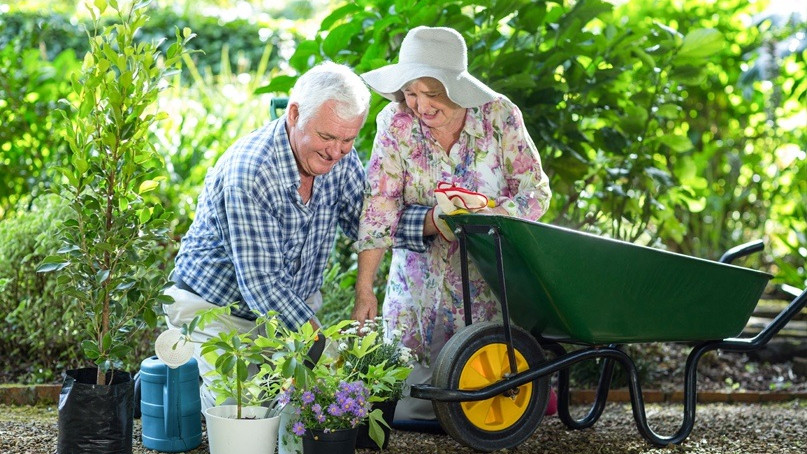 Занимаването с градинарство пази от Алцхаймер!