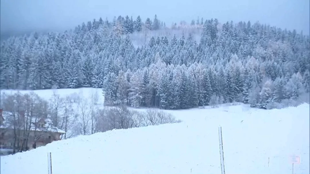 Сняг и ниски температури в Централна Европа