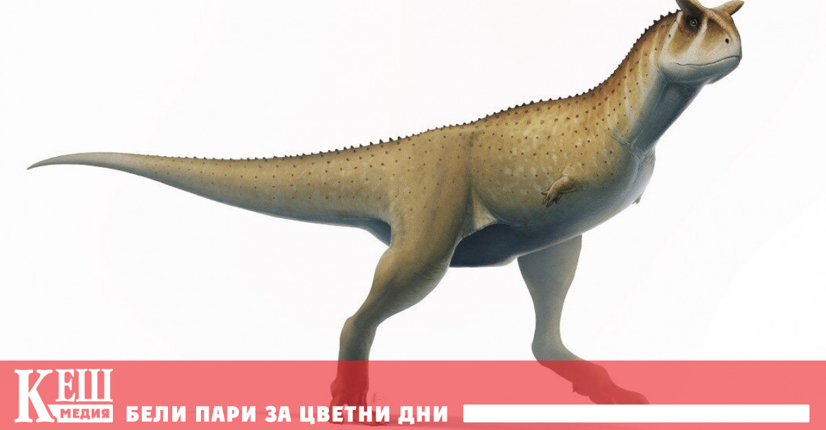 В откриха нов необикновен динозавър За разлика от тиранозавъра, който