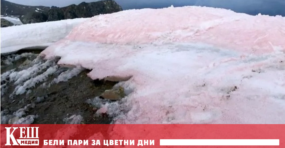 Сняг с розов цвят може да се види, например в