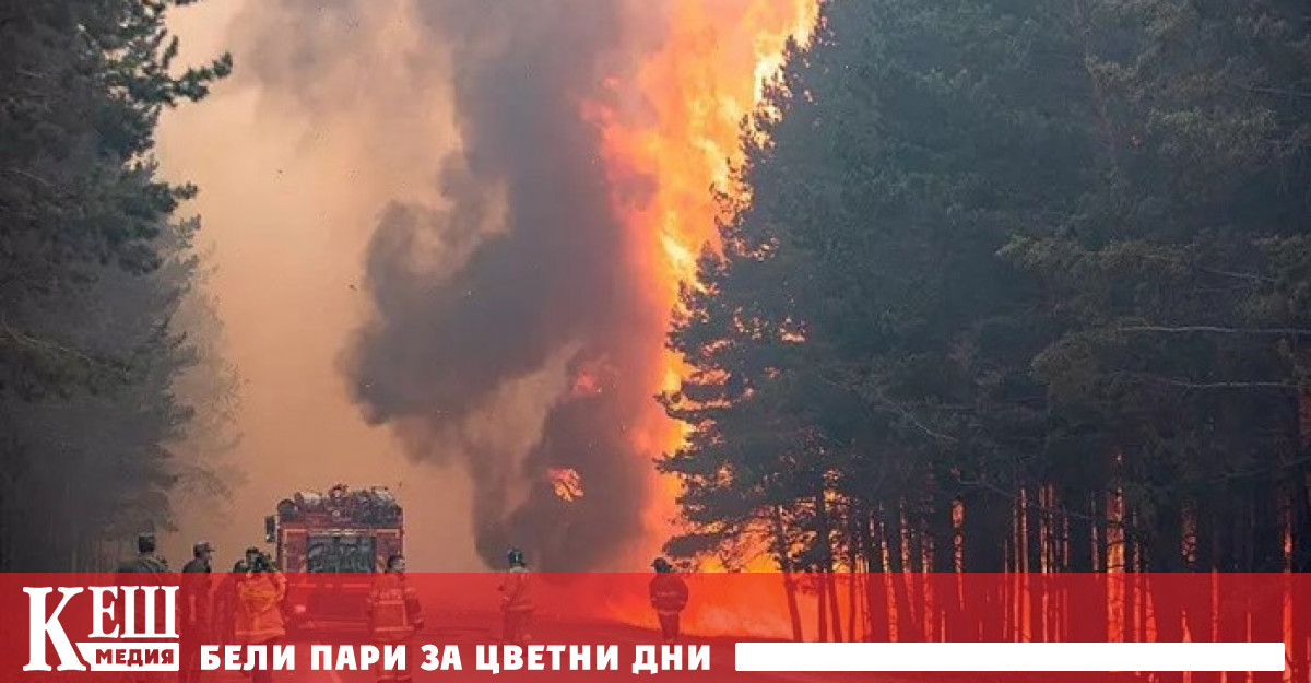 Пожарът е избухнал на 7 август, но от Рязанска област