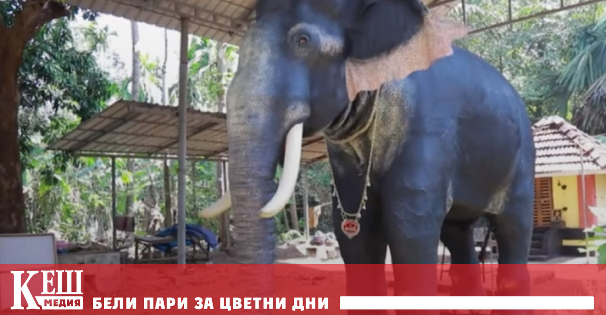 Слонът робот е дарение за храма от организацията Хора за