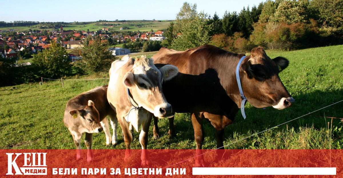 Използването на антибиотици в животновъдството предизвиква все по голямо безпокойство поради