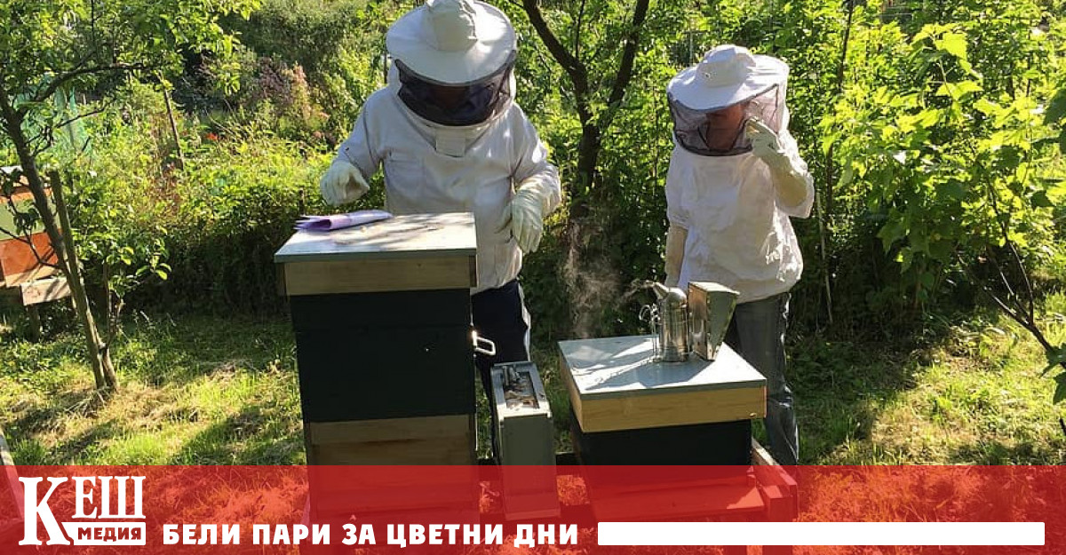 Държавен фонд започна изплащането на финансова помощ за пчеларите, предаде