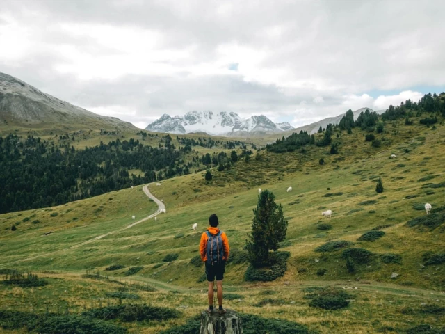 Швейцарски национален парк споделя опит със страни от Централна и Източна Европа