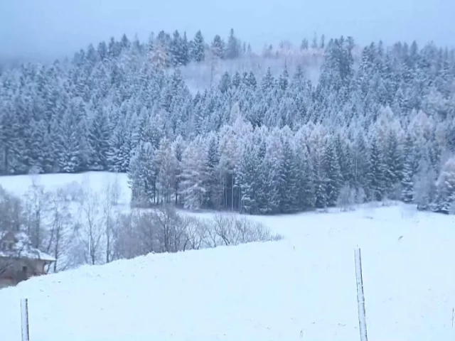 Сняг и ниски температури в Централна Европа