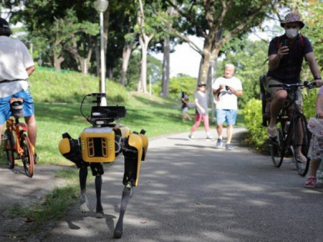 Кучета-роботи започнаха да контролират дистанцията между хората