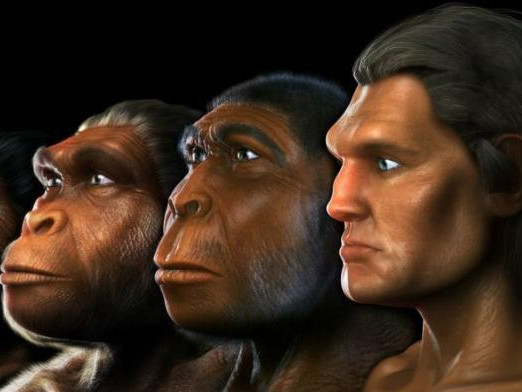 Учени дадоха име на нов вид древен човек - Homo bodoensis